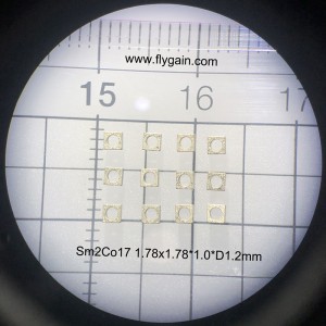 Micro Precision SmCo Ring Magnet para motor móvil